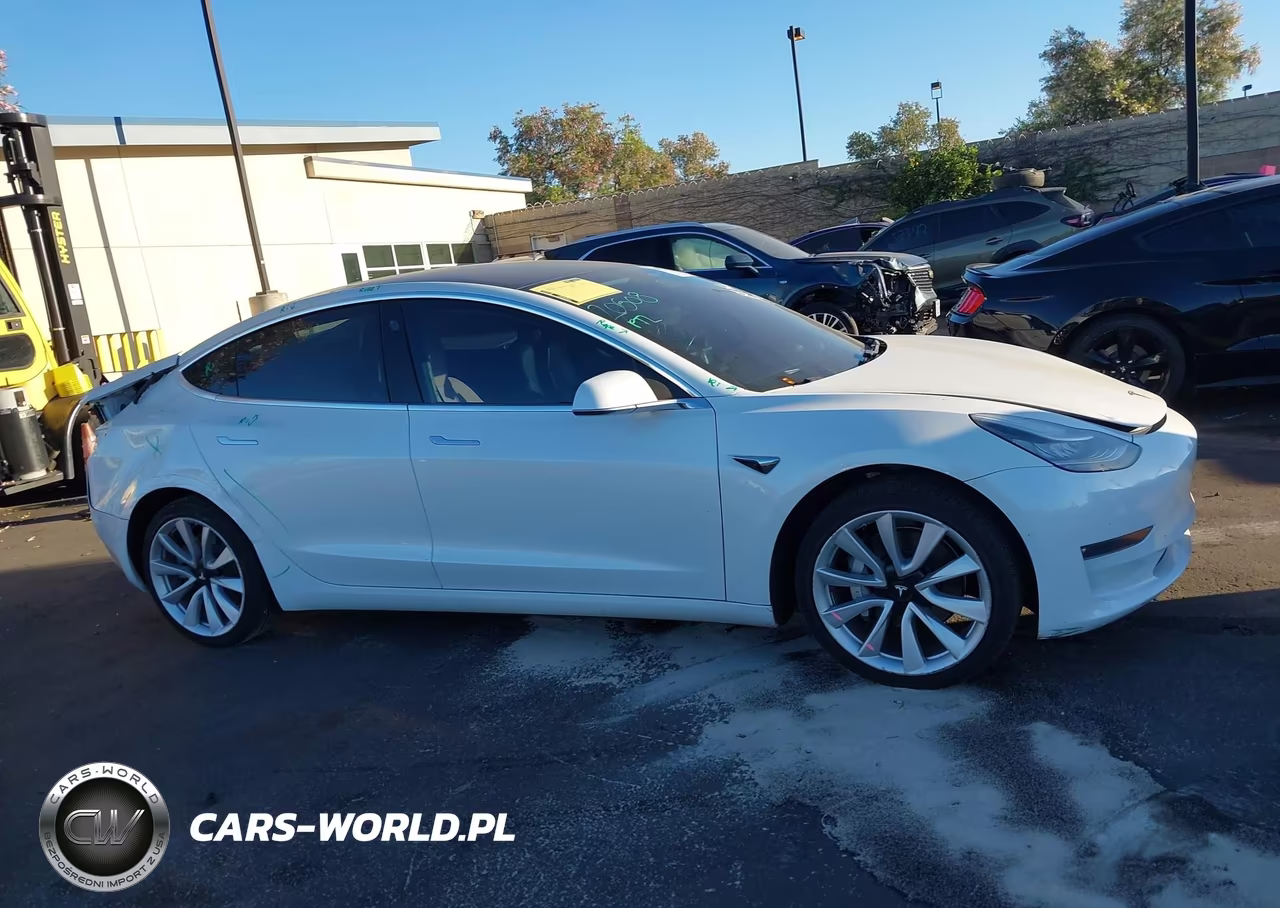 2019 Tesla Model 3 Long Range-Mid Range-Standard Range-Standard Range Plus VIN:5YJ3E1EAXKF412954 - 13