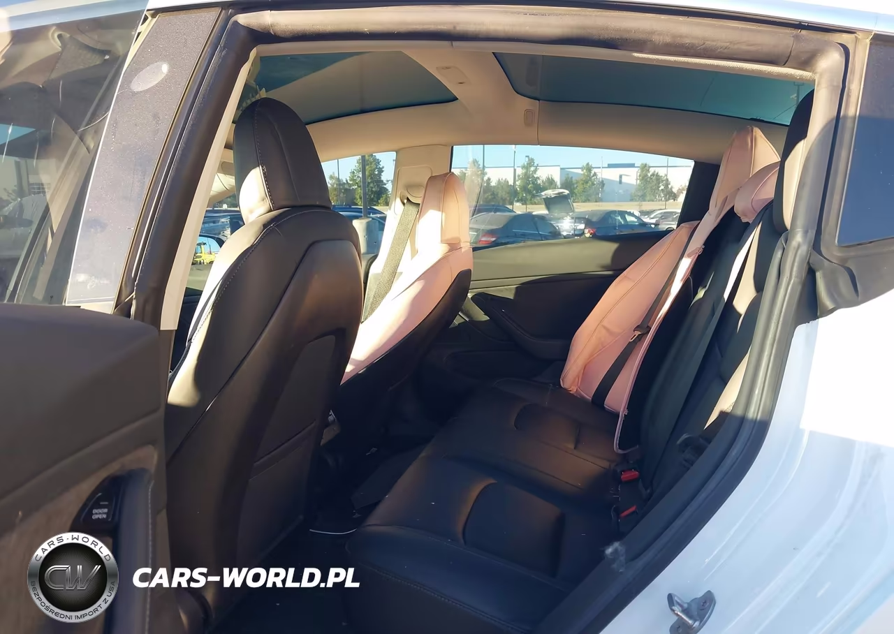2019 Tesla Model 3 Long Range-Mid Range-Standard Range-Standard Range Plus VIN:5YJ3E1EAXKF412954 - 8