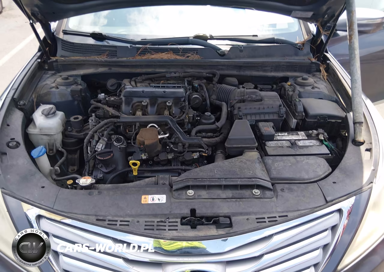 2013 Hyundai Azera VIN:KMHFH4JG7DA216249 - 10