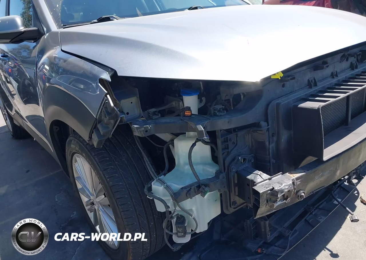 2018 Hyundai Kona Sel VIN:KM8K62AA9JU101649 - 19