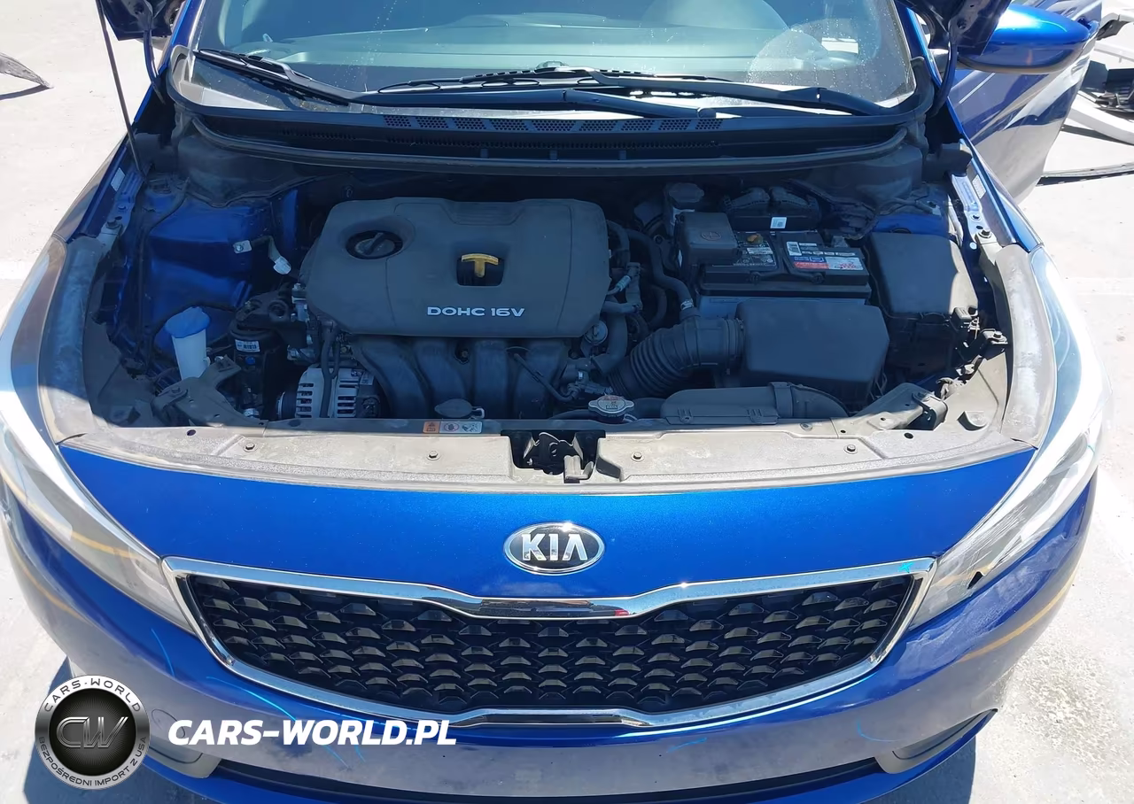 2017 Kia Forte Lx VIN:3KPFK4A73HE006711 - 10