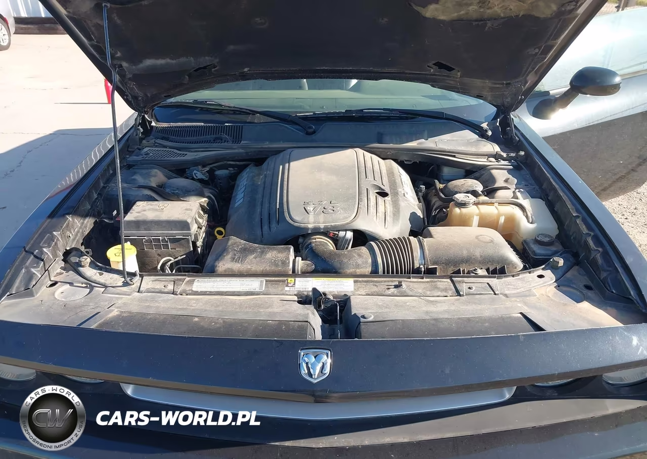 2010 Dodge Challenger R-T VIN:2B3CJ5DT3AH289434 - 10
