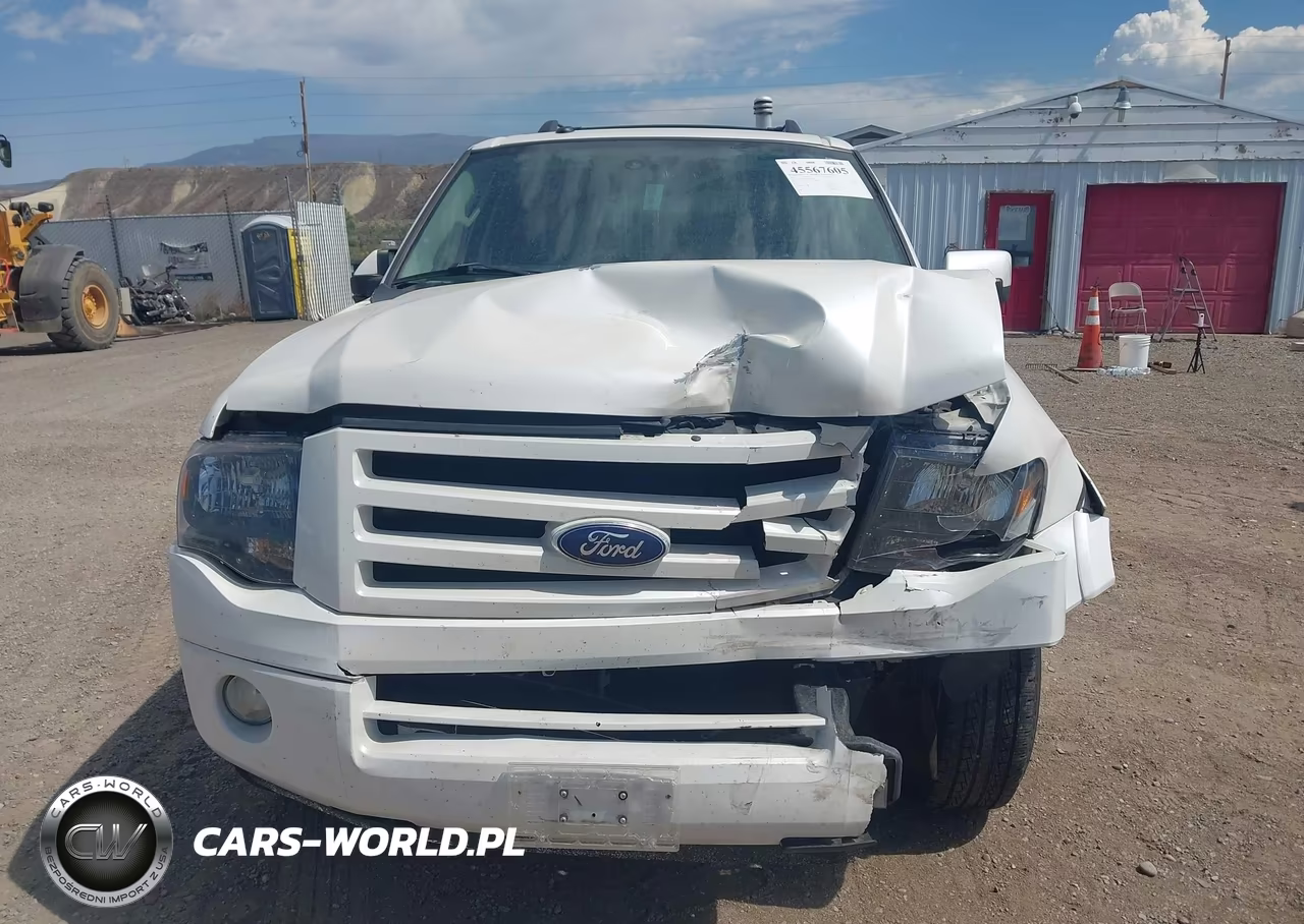 2010 Ford Expedition Limited VIN:1FMJU1K52AEA43360 - 11