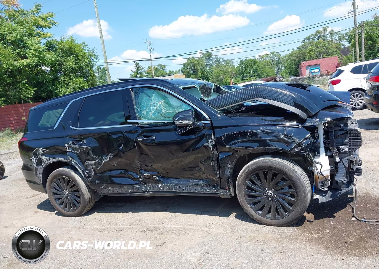 2024 Hyundai Palisade Calligraphy Night Edition VIN:KM8R7DGE2RU764882 - 12