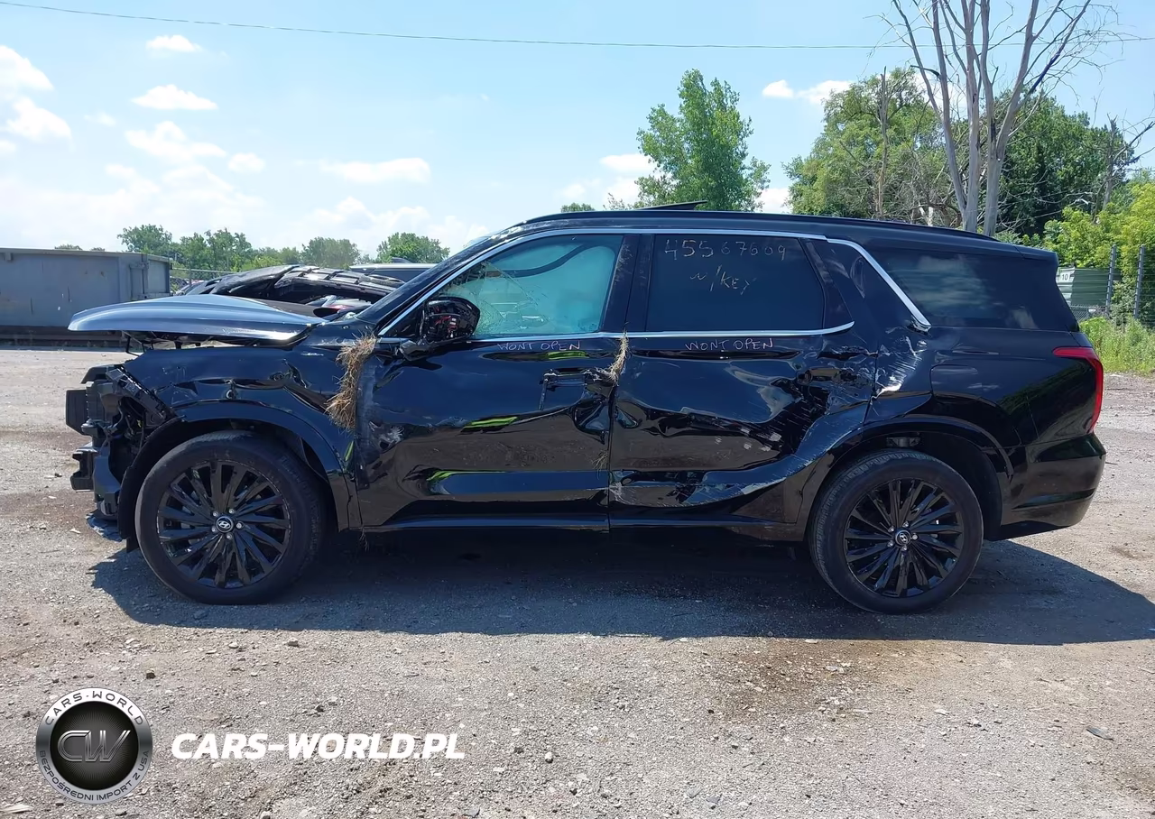 2024 Hyundai Palisade Calligraphy Night Edition VIN:KM8R7DGE2RU764882 - 13