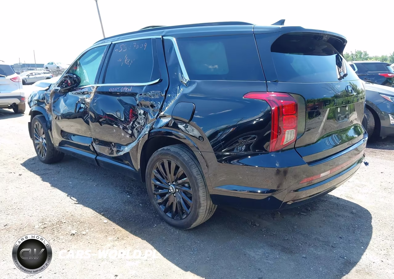 2024 Hyundai Palisade Calligraphy Night Edition VIN:KM8R7DGE2RU764882 - 3