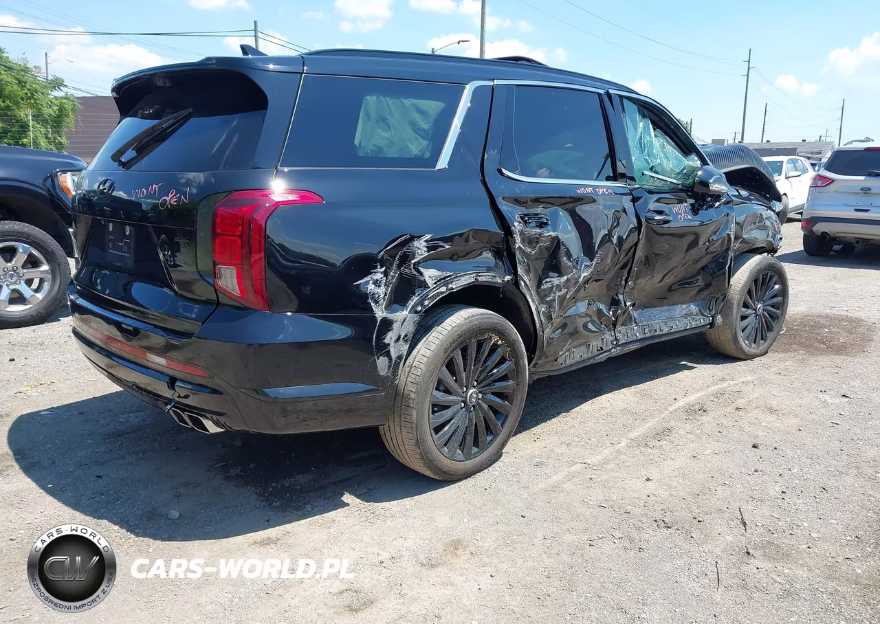 2024 Hyundai Palisade Calligraphy Night Edition VIN:KM8R7DGE2RU764882 - 4