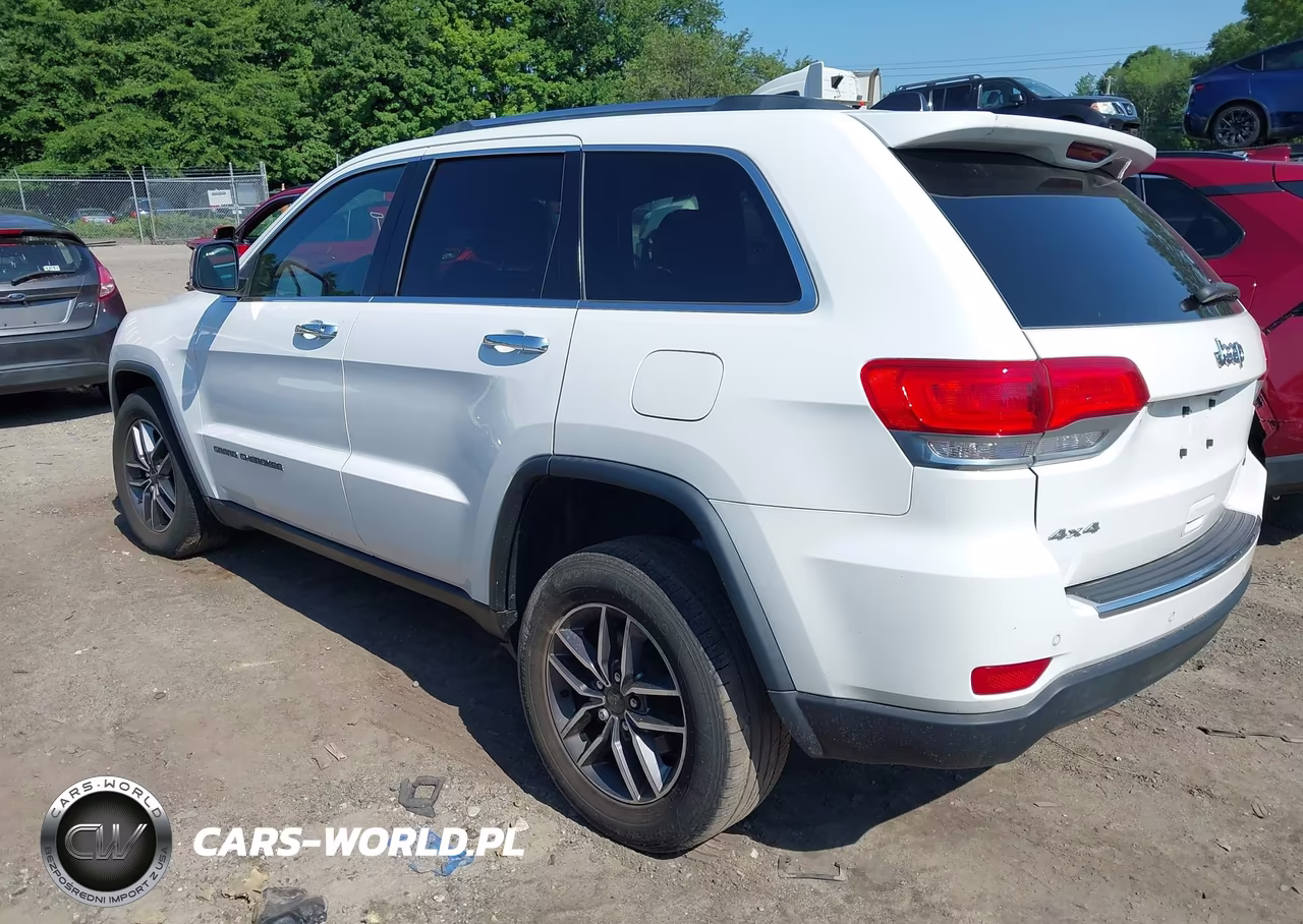 2019 Jeep Grand Cherokee Limited 4X4 VIN:1C4RJFBG0KC788507 - 3