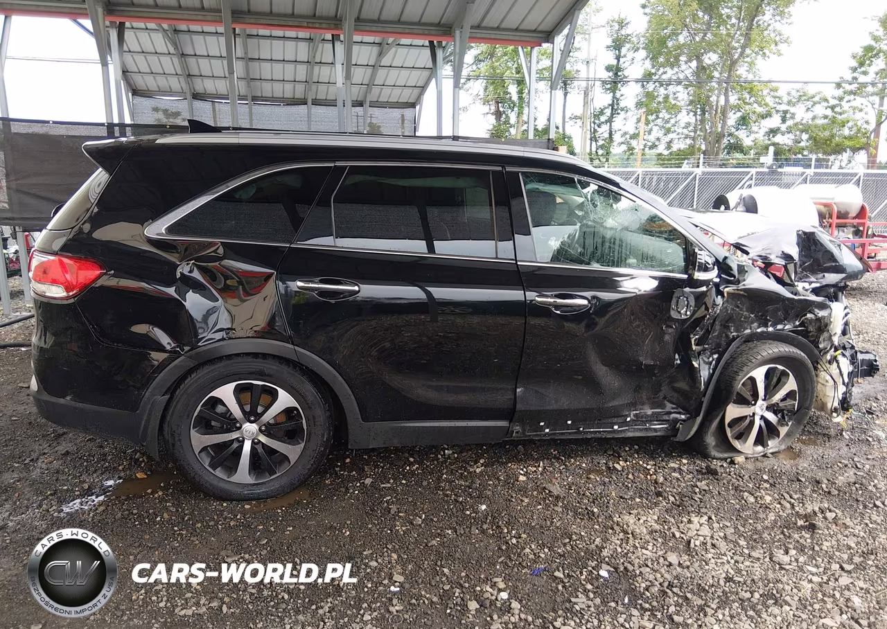 2017 Kia Sorento 3.3L Ex VIN:5XYPH4A59HG319458 - 12