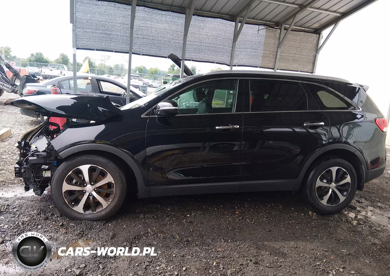 2017 Kia Sorento 3.3L Ex VIN:5XYPH4A59HG319458 - 13