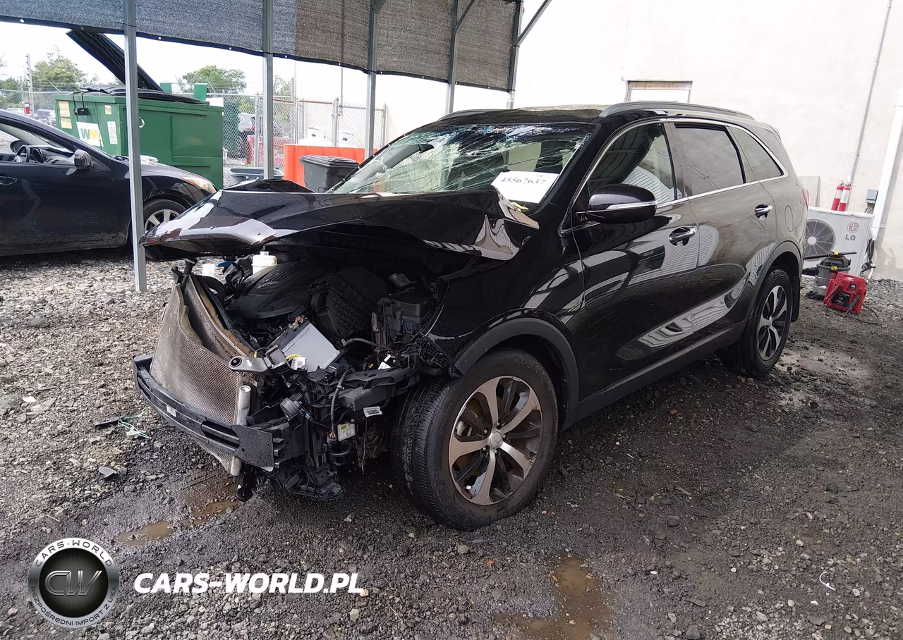 2017 Kia Sorento 3.3L Ex VIN:5XYPH4A59HG319458 - 2