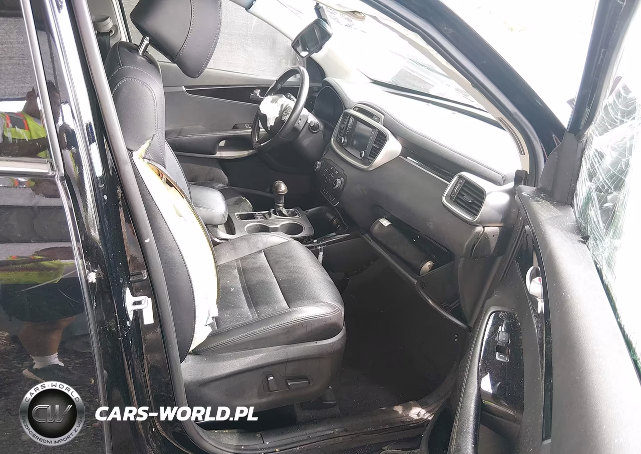 2017 Kia Sorento 3.3L Ex VIN:5XYPH4A59HG319458 - 5
