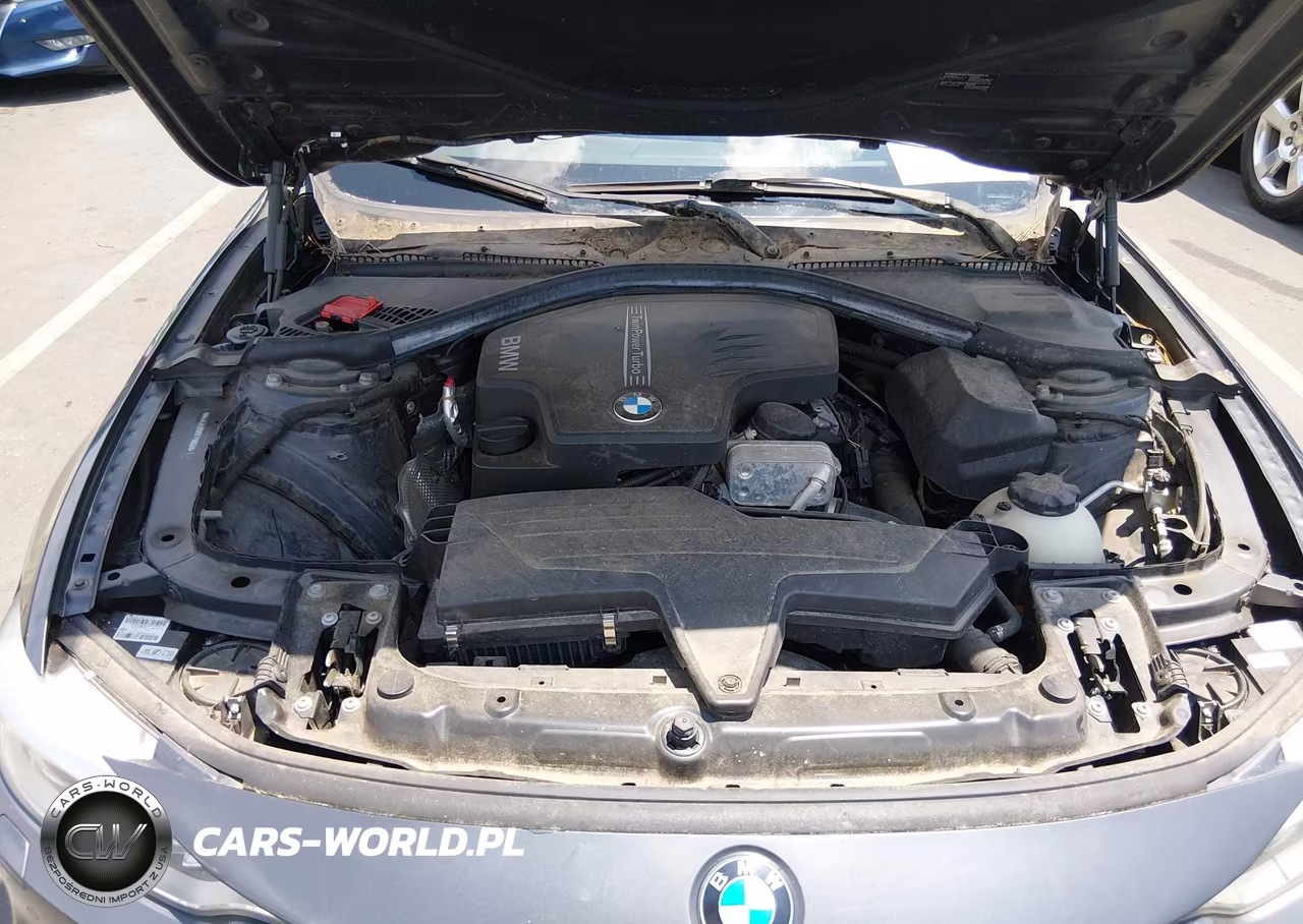 2014 BMW 428I VIN:WBA3N3C5XEF710662 - 10