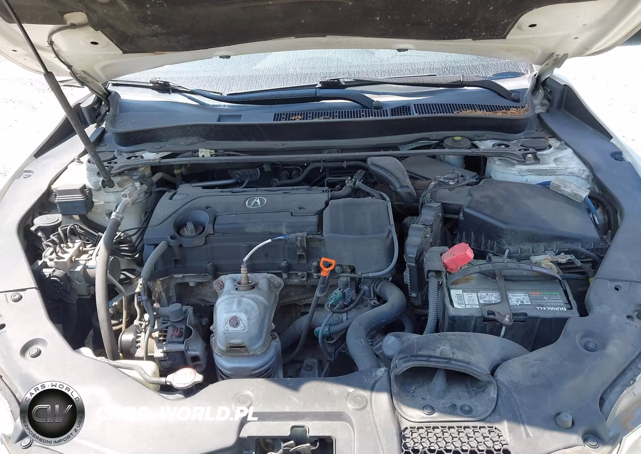2017 Acura Tlx VIN:19UUB1F37HA008073 - 10
