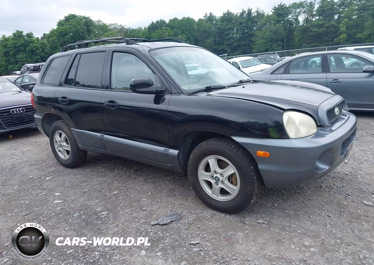 2004 Hyundai Santa Fe Gls-Lx