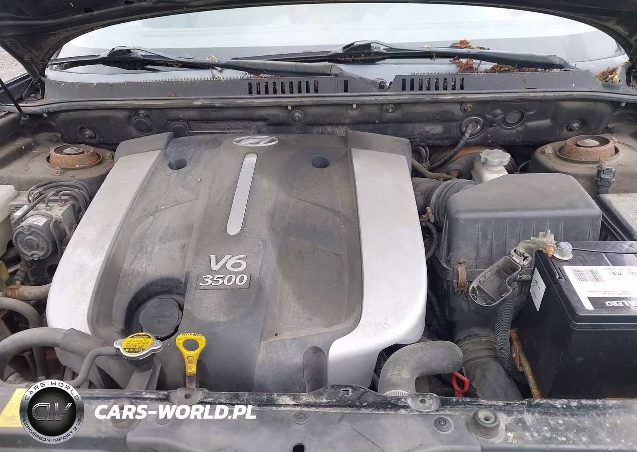 2004 Hyundai Santa Fe Gls-Lx VIN:KM8SC13E34U733036 - 10