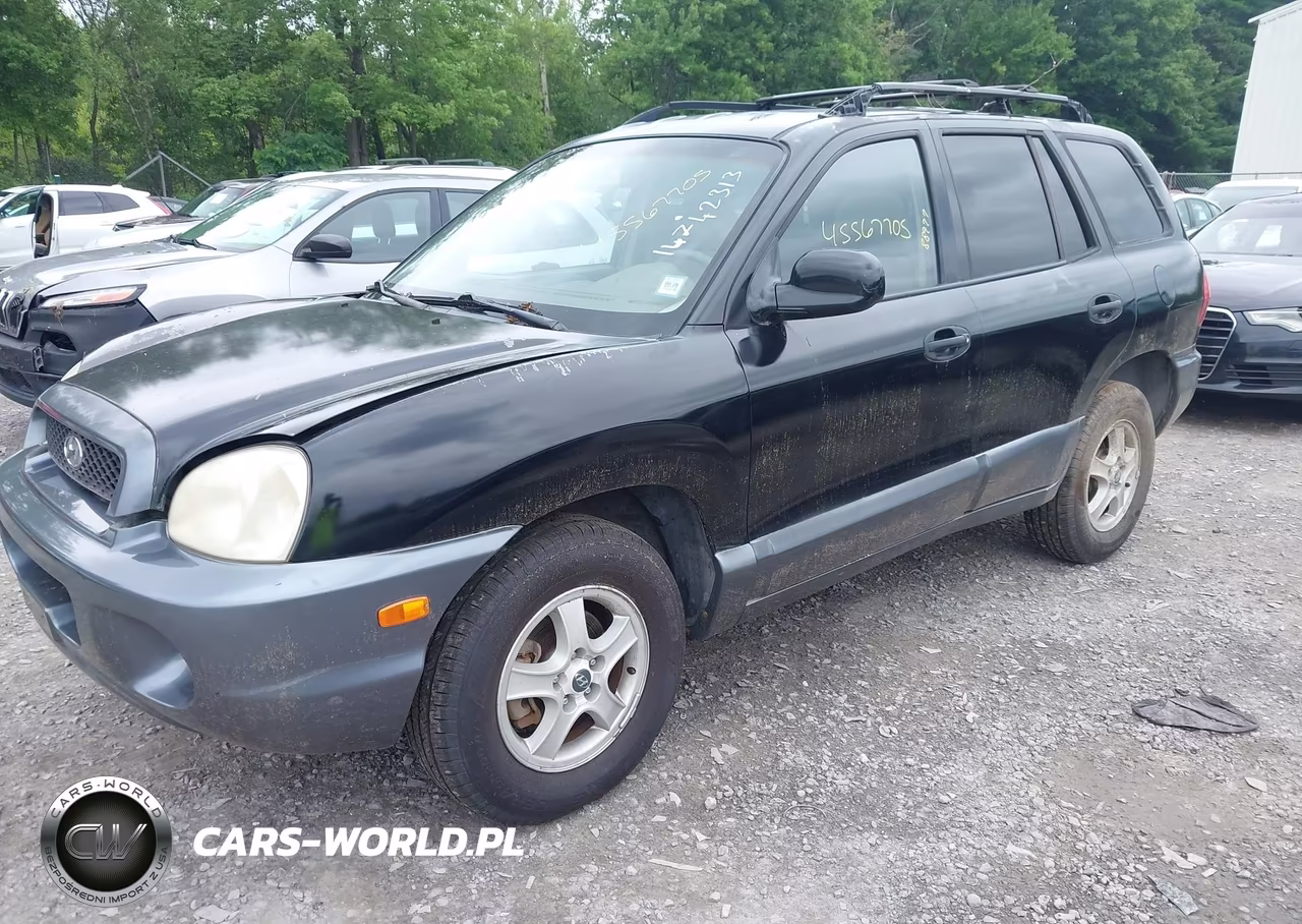 2004 Hyundai Santa Fe Gls-Lx VIN:KM8SC13E34U733036 - 2