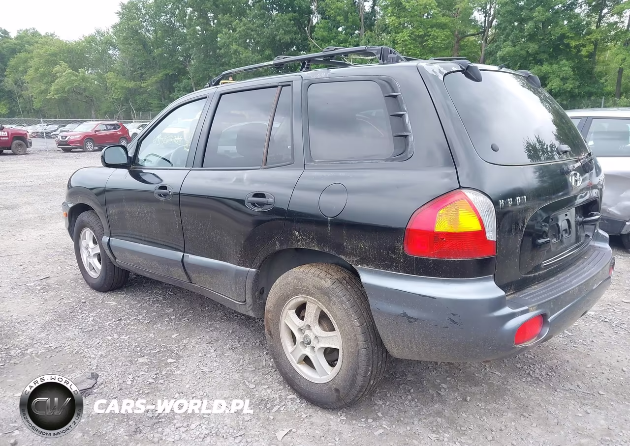 2004 Hyundai Santa Fe Gls-Lx VIN:KM8SC13E34U733036 - 3