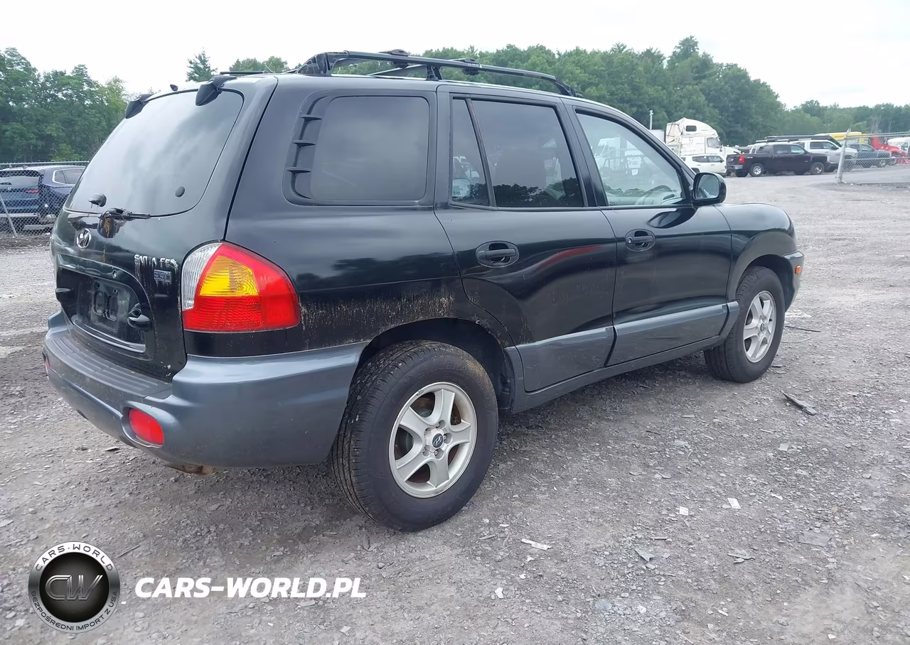 2004 Hyundai Santa Fe Gls-Lx VIN:KM8SC13E34U733036 - 4