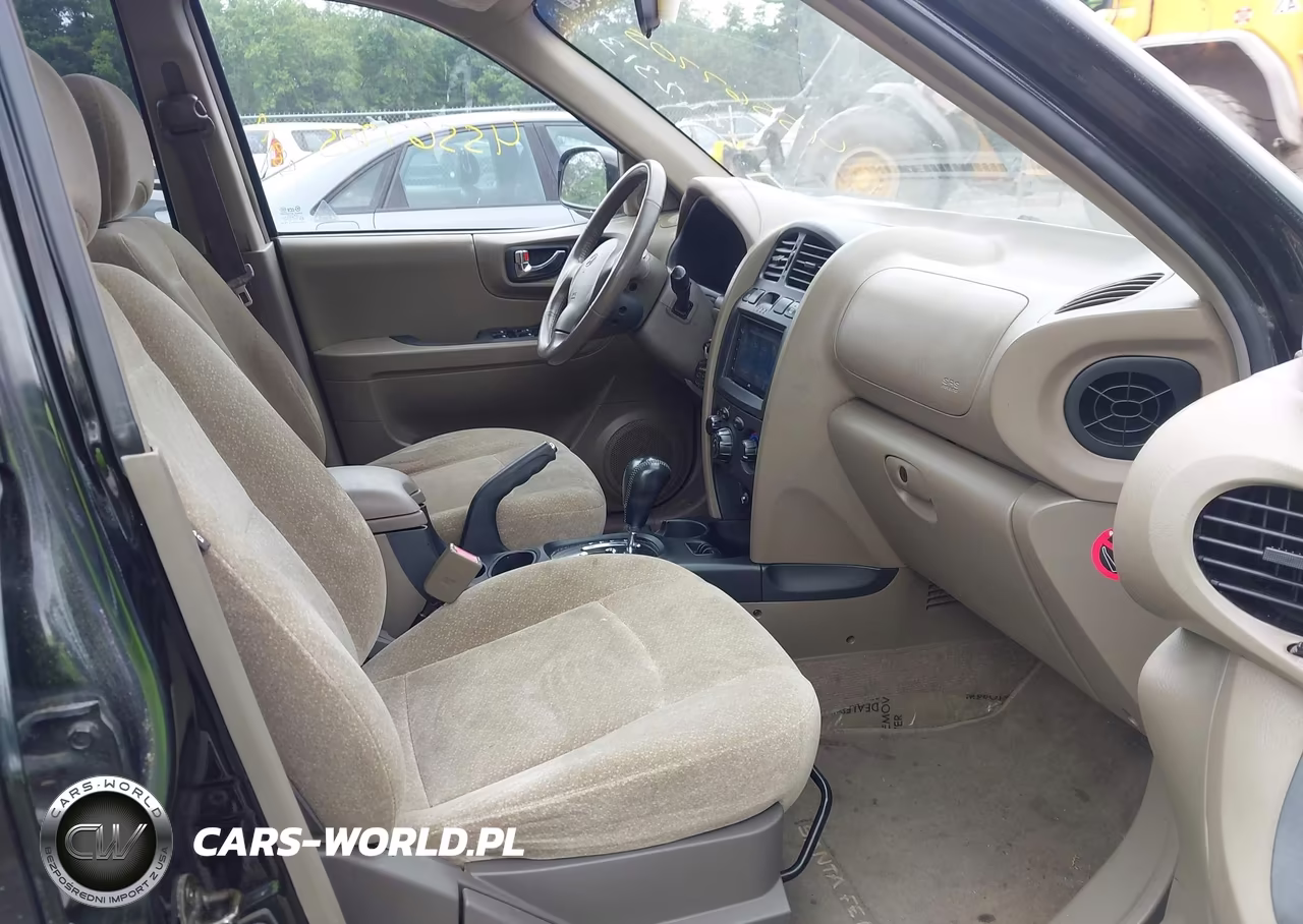 2004 Hyundai Santa Fe Gls-Lx VIN:KM8SC13E34U733036 - 5