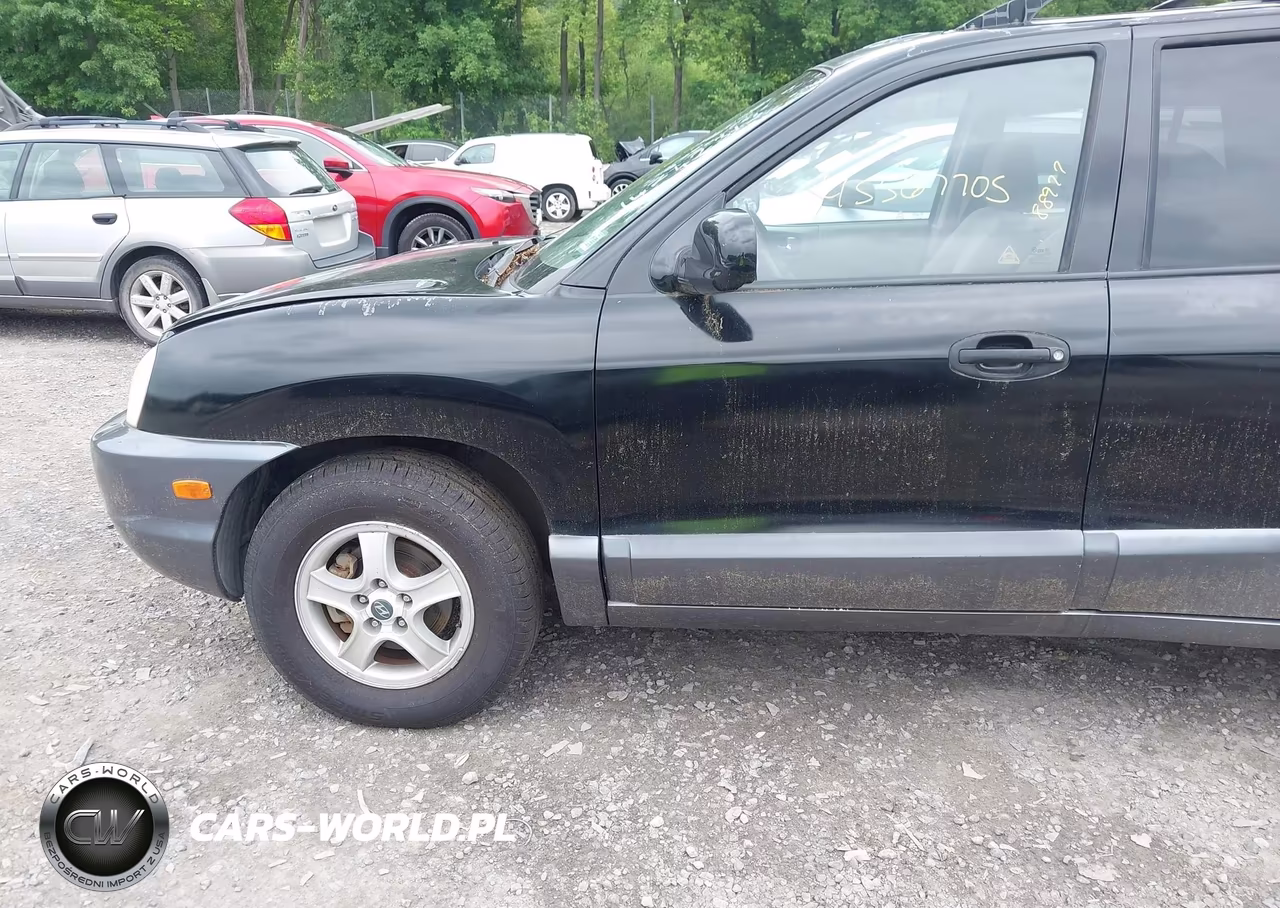 2004 Hyundai Santa Fe Gls-Lx VIN:KM8SC13E34U733036 - 6