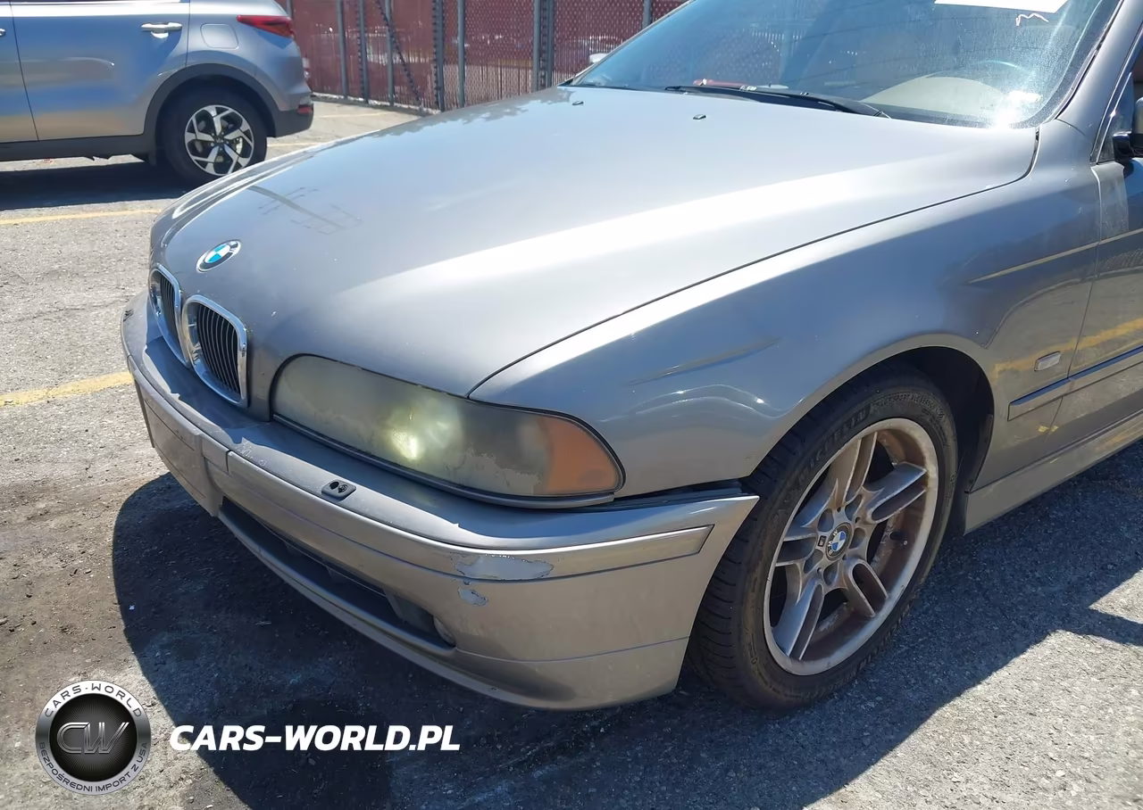 2002 BMW 5 Series 540Ia VIN:WBADN63442GN85693 - 12
