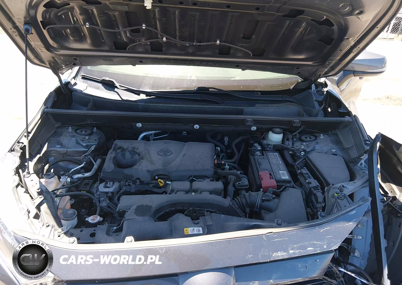 2019 Toyota Rav4 Le VIN:JTMG1RFV3KD032732 - 10