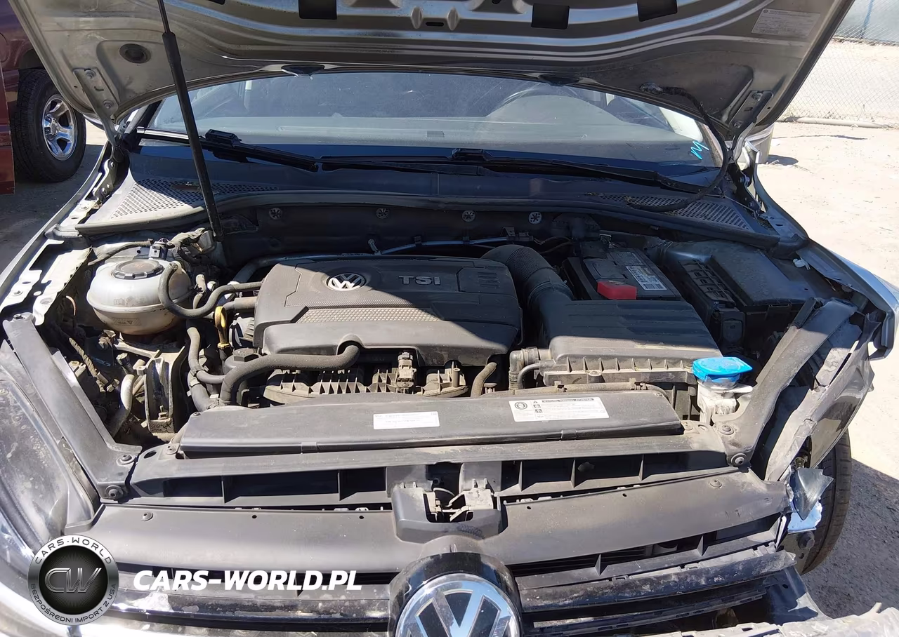 2018 Volkswagen Golf Tsi S-Tsi Se VIN:3VWG17AU7JM267377 - 10