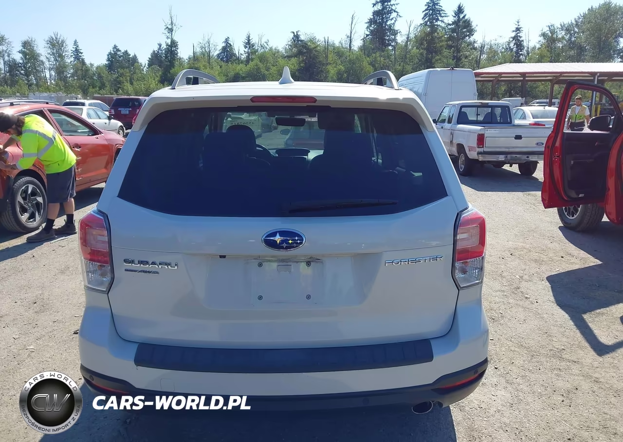 2018 Subaru Forester 2.5I Touring VIN:JF2SJAWC7JH587654 - 17