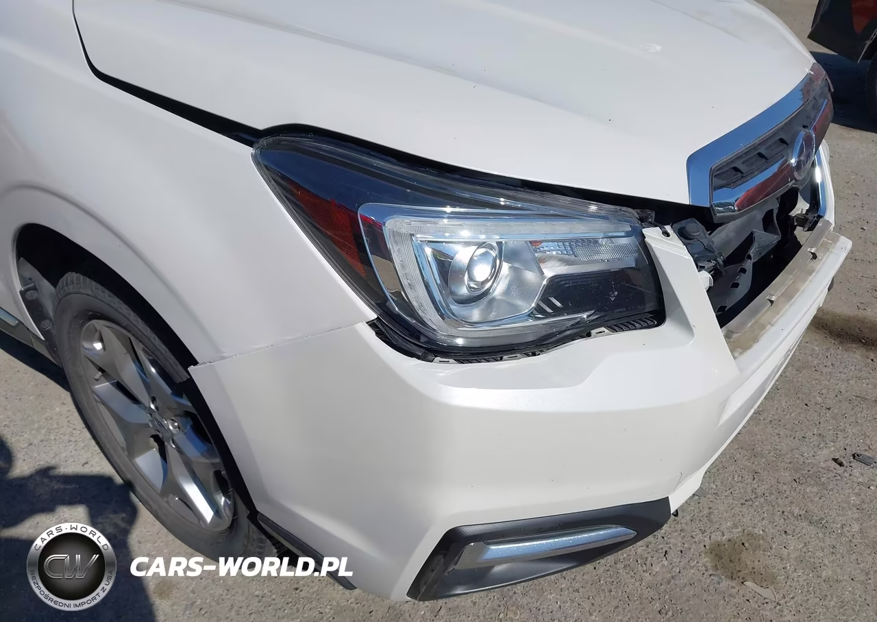 2018 Subaru Forester 2.5I Touring VIN:JF2SJAWC7JH587654 - 19