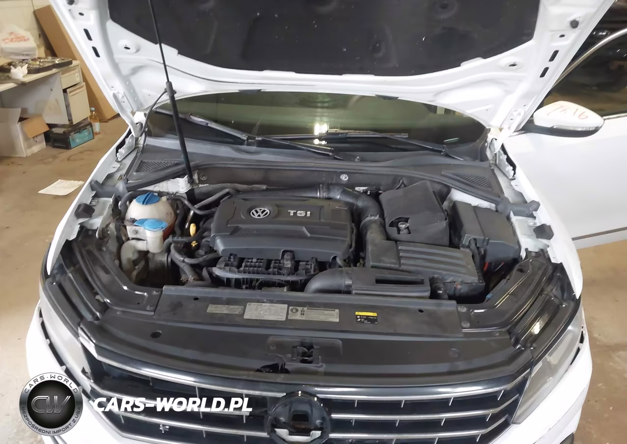 2016 Volkswagen Passat 1.8T S VIN:1VWAT7A36GC005884 - 10