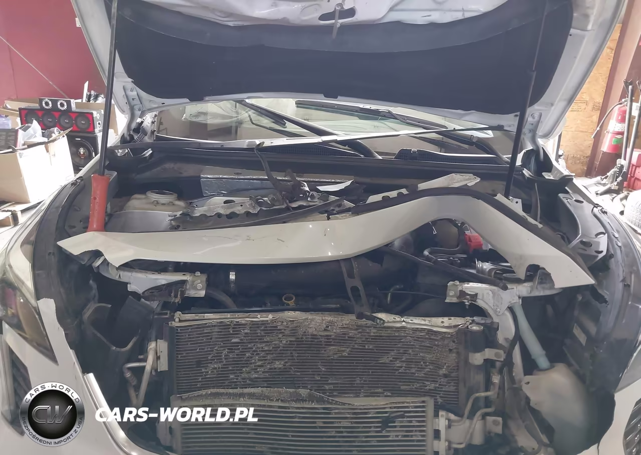 2019 Cadillac Xt4 Premium Luxury VIN:1GYFZDR43KF123718 - 10