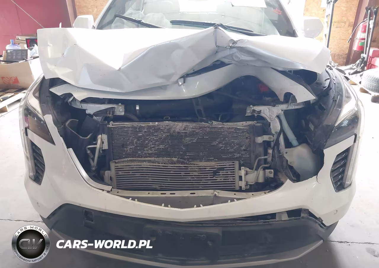 2019 Cadillac Xt4 Premium Luxury VIN:1GYFZDR43KF123718 - 6