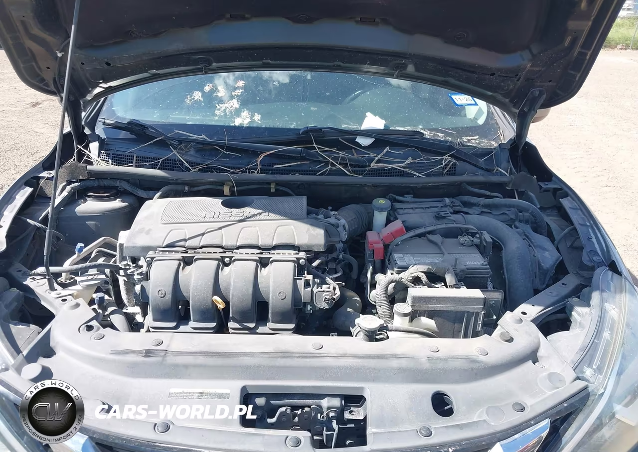 2016 Nissan Sentra Fe+ S-S-Sl-Sr-Sv VIN:3N1AB7AP9GL646270 - 10