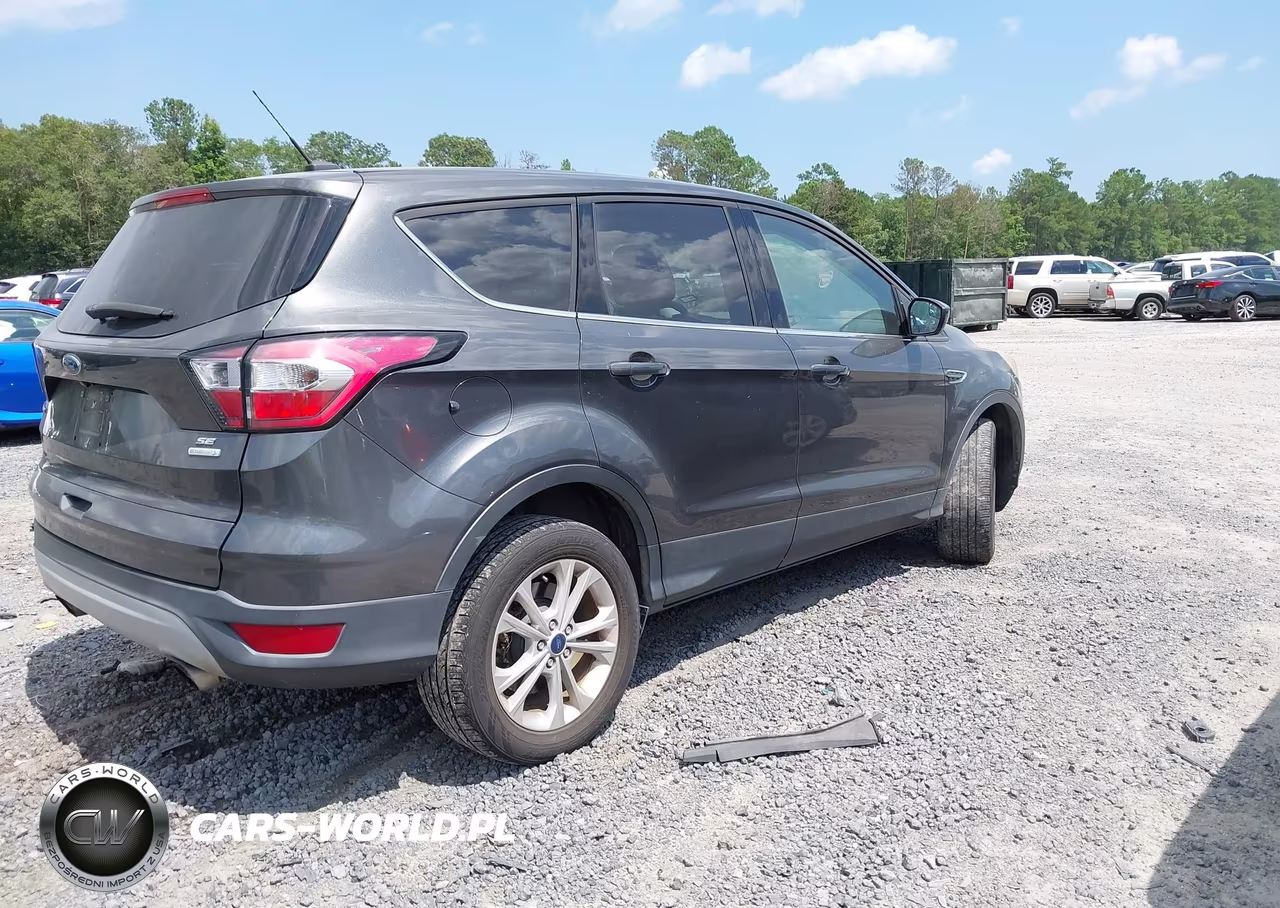 2017 Ford Escape Se VIN:1FMCU0GD5HUE07628 - 4