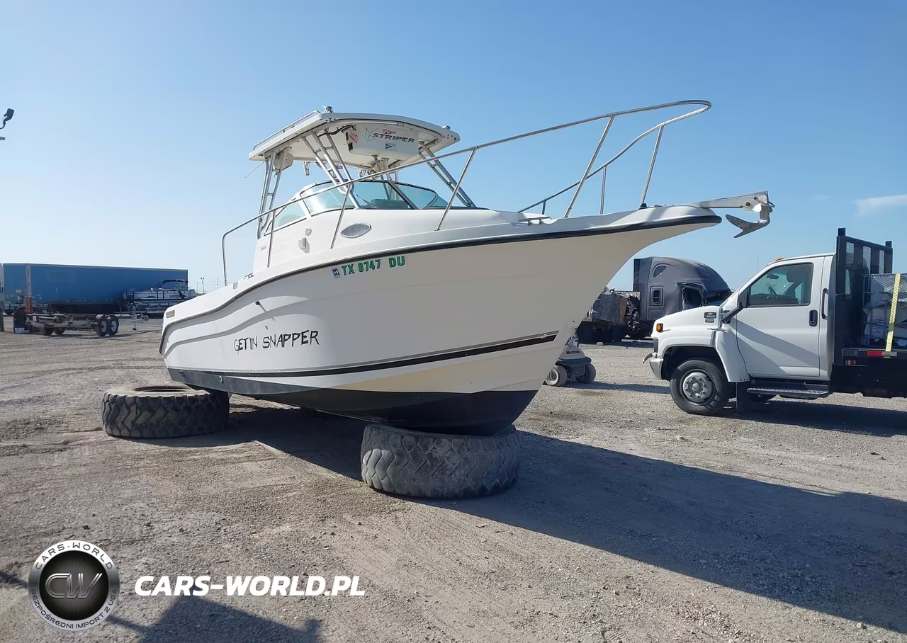 2002 Seaswirl 2601 Wa Stripe