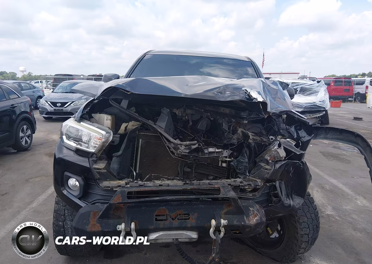 2017 Toyota Tacoma Sr5 V6 VIN:5TFCZ5AN7HX117653 - 12