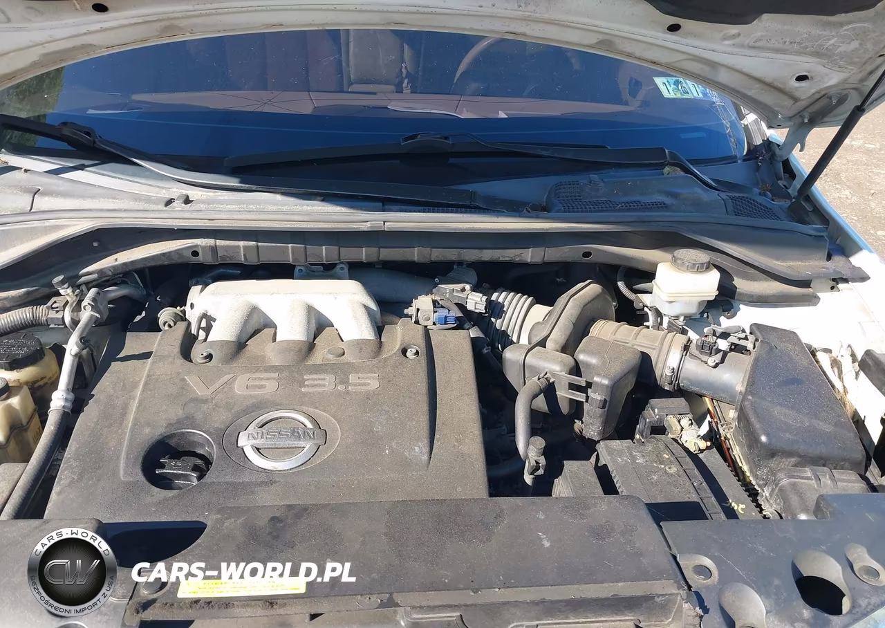 2005 Nissan Murano S VIN:JN8AZ08W35W440905 - 10