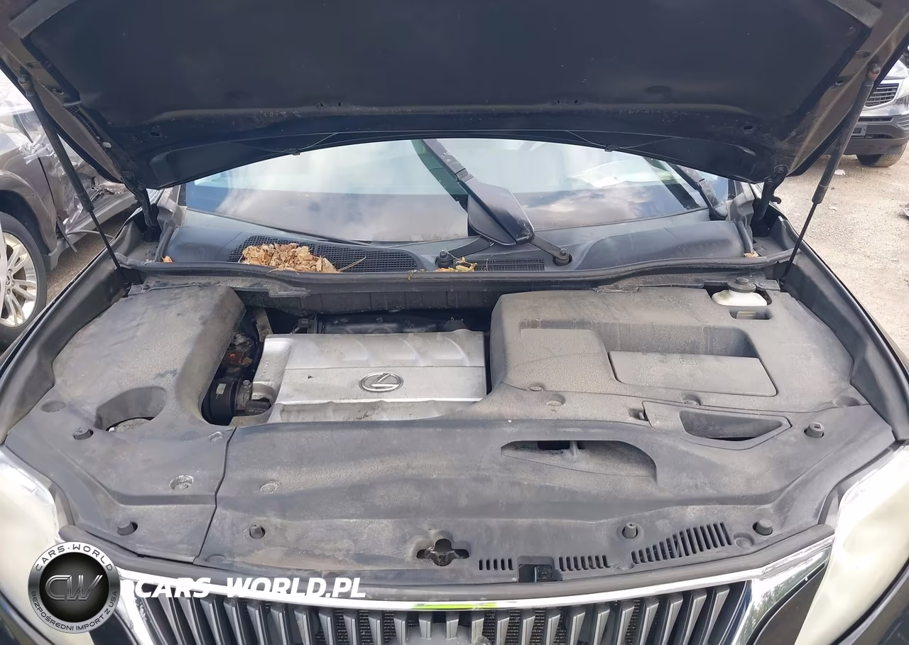 2010 Lexus Rx 350 VIN:2T2BK1BAXAC039650 - 10
