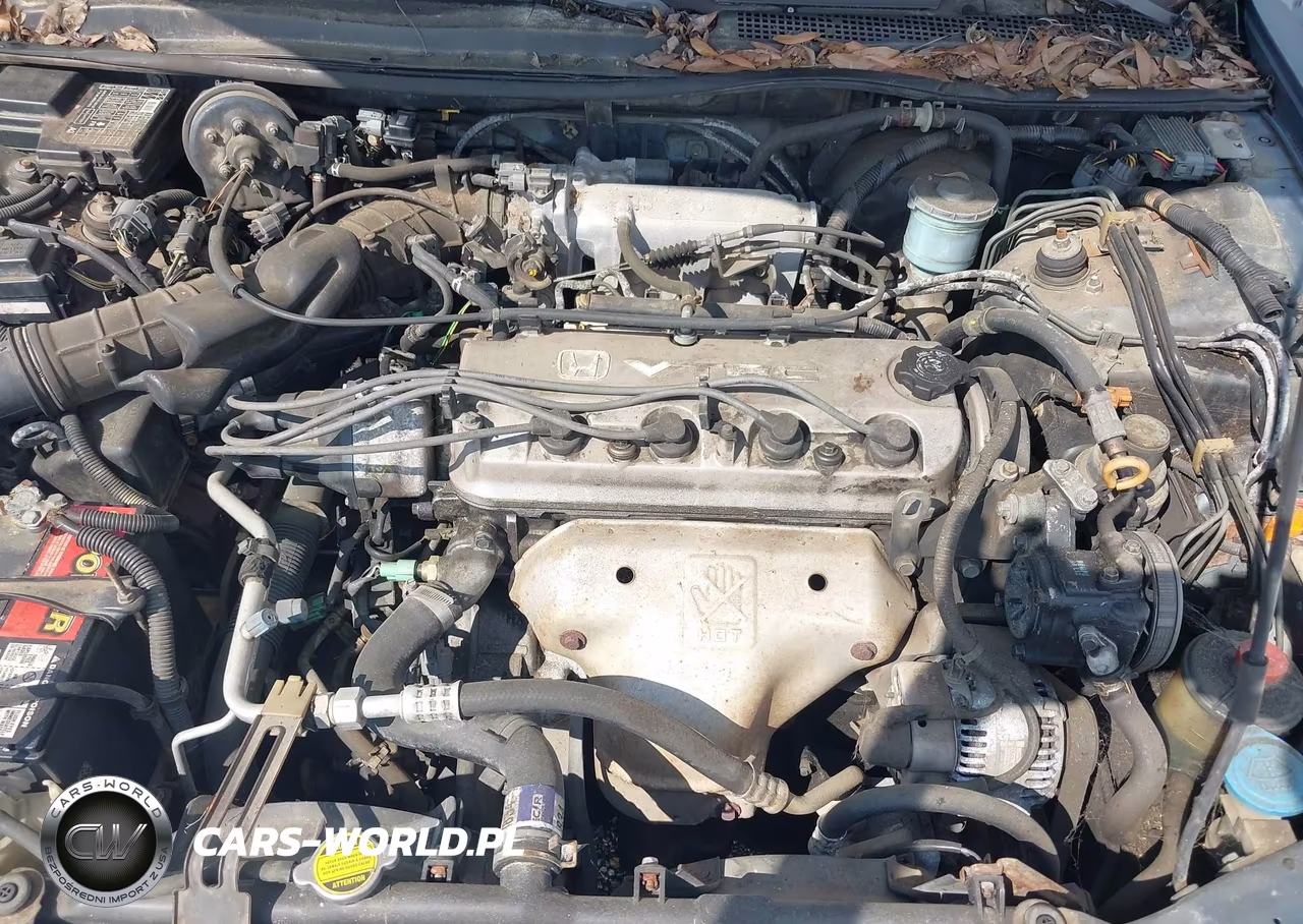 1996 Honda Accord Ex VIN:1HGCD7267TA025411 - 10