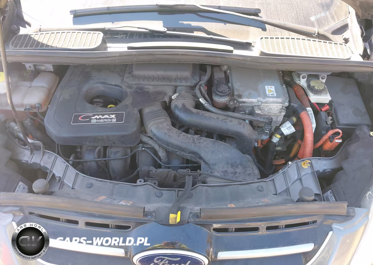 2014 Ford C-Max Energi Sel VIN:1FADP5CU3EL503185 - 10