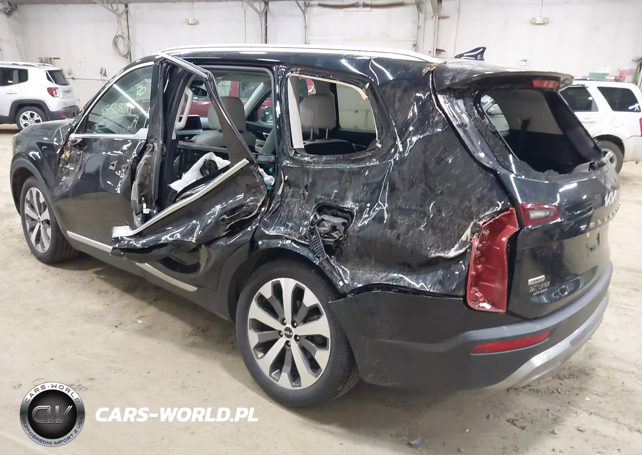 2022 Kia Telluride S VIN:5XYP6DHC2NG258959 - 3