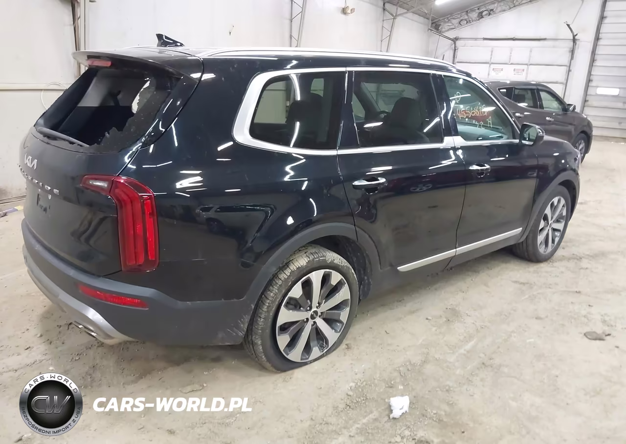2022 Kia Telluride S VIN:5XYP6DHC2NG258959 - 4