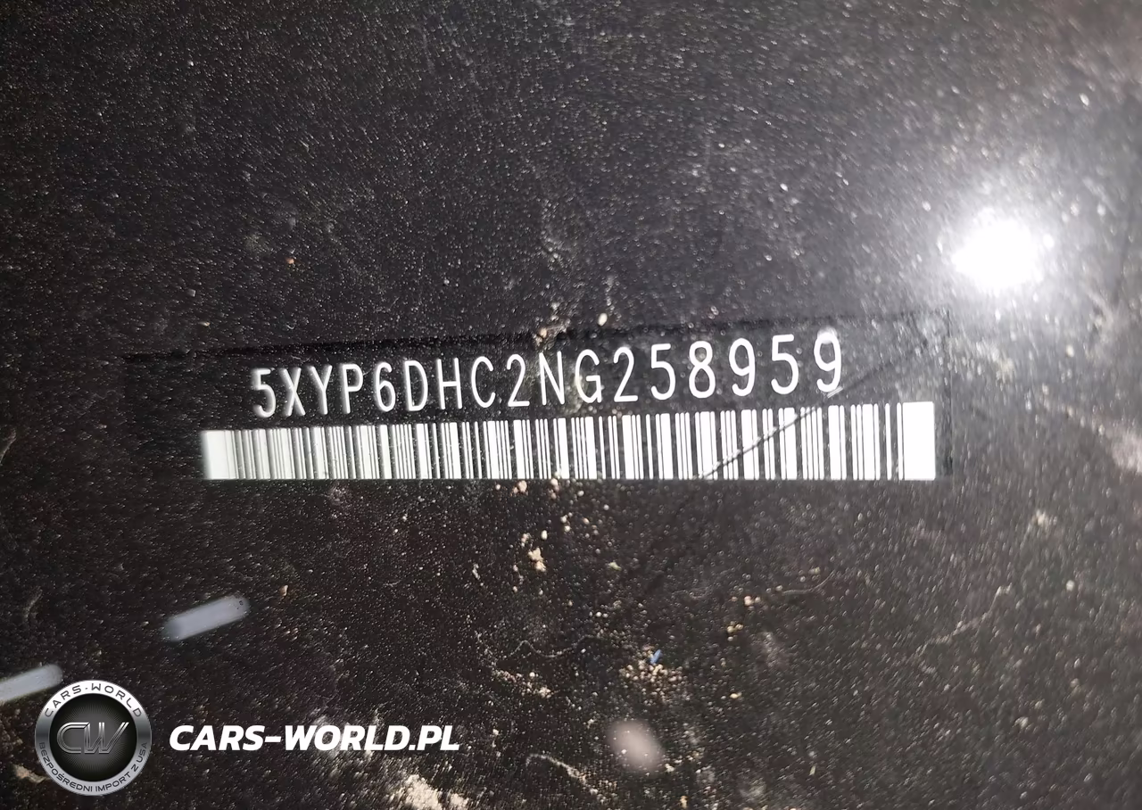 2022 Kia Telluride S VIN:5XYP6DHC2NG258959 - 9
