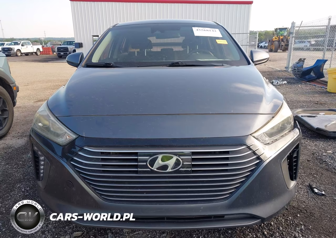 2019 Hyundai Ioniq Hybrid Sel VIN:KMHC75LC4KU117454 - 12