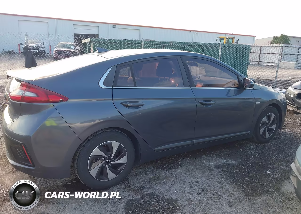 2019 Hyundai Ioniq Hybrid Sel VIN:KMHC75LC4KU117454 - 13