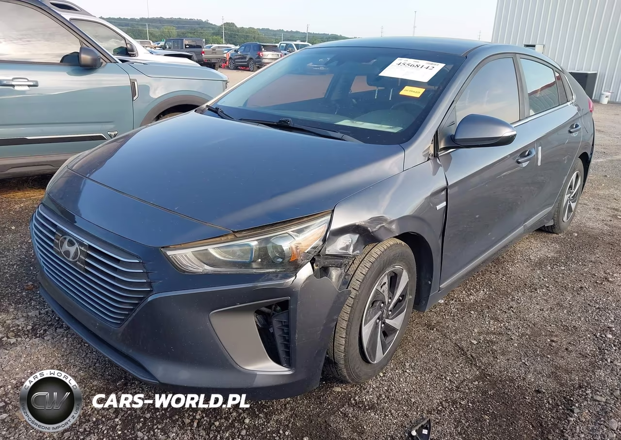 2019 Hyundai Ioniq Hybrid Sel VIN:KMHC75LC4KU117454 - 2