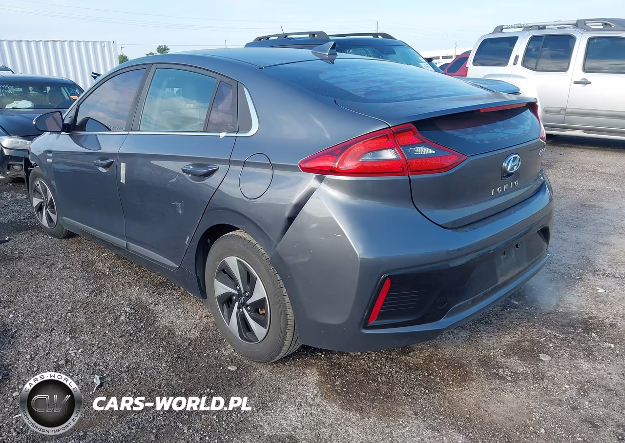 2019 Hyundai Ioniq Hybrid Sel VIN:KMHC75LC4KU117454 - 3