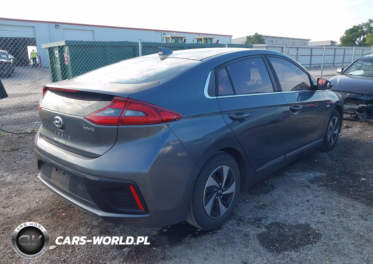 2019 Hyundai Ioniq Hybrid Sel VIN:KMHC75LC4KU117454 - 4