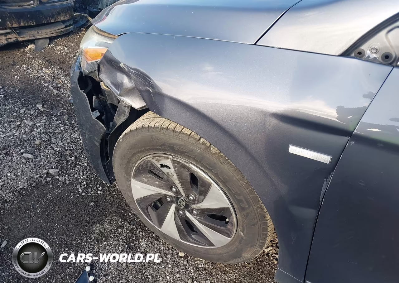 2019 Hyundai Ioniq Hybrid Sel VIN:KMHC75LC4KU117454 - 6